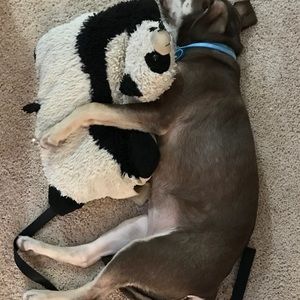 Meet your Posher, Alanna